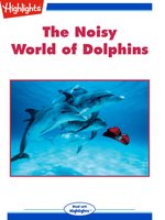 The Noisy World of Dolphins
